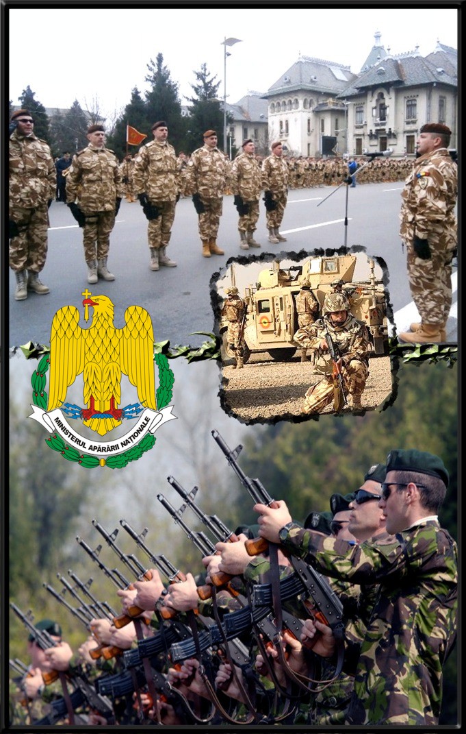 Militari români răniţi în anul 2014, art-emis