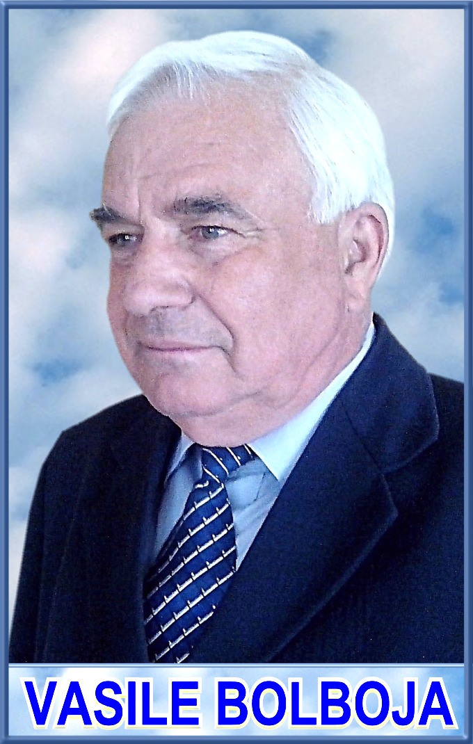 Vasile Bolboja
