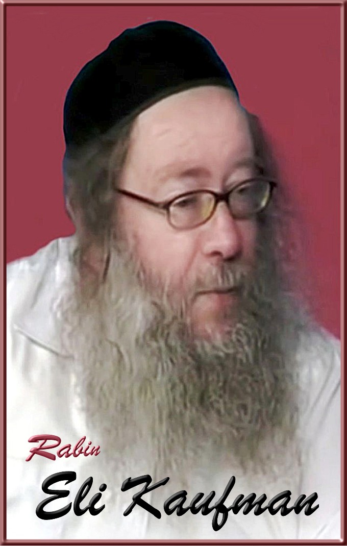 Rabin Eli Kaufman, art-emis