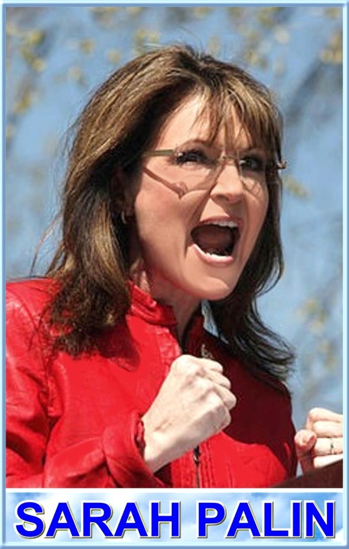 Sarah Palin, SUA