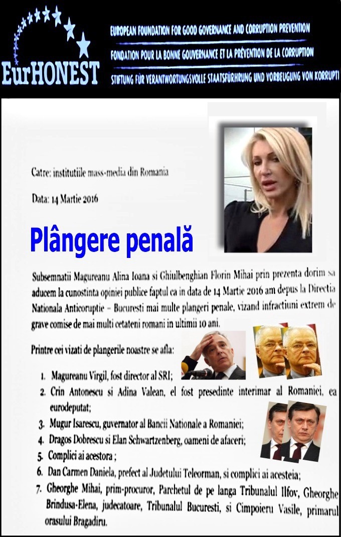 Plangere penala Alina Magureanu