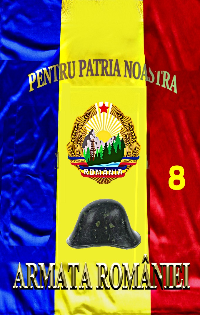 Armata ROMANIEI 2023 (8)