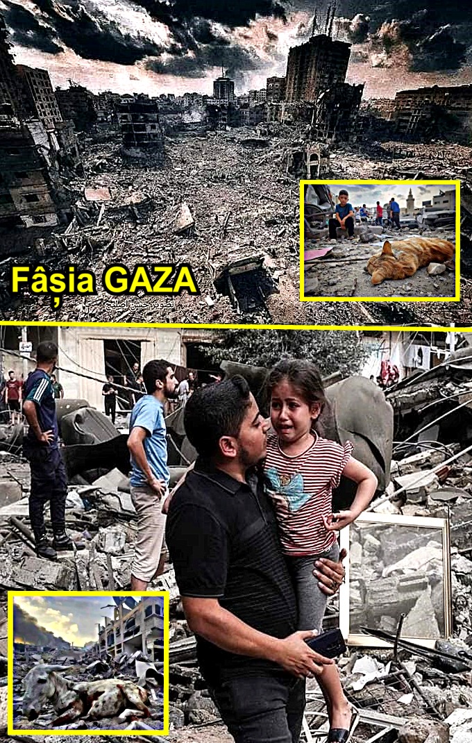 Fasia Gaza 2023