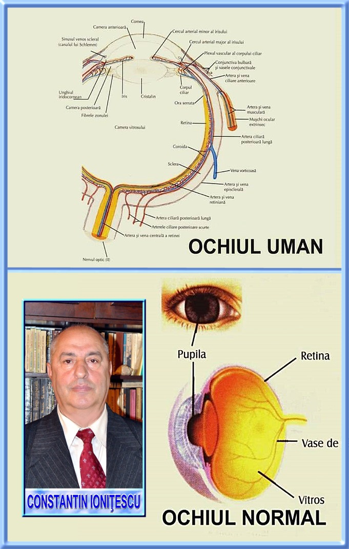 Dr. Constantin Ionitescu - ochiul uman normal